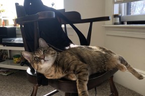 乐鱼官方登录入口-“武汉马拉松赛场，极速飞驰的新星即将诞生”