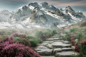 leyu乐鱼官网登录入口-替补席边路球员是否更容易制造比赛变量，足球比赛替补席距离边线距离