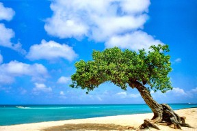 LEYU SPORTS中国官方网站-中国足球国家队进攻战术演练取得积极成效，中国足球队训练视频