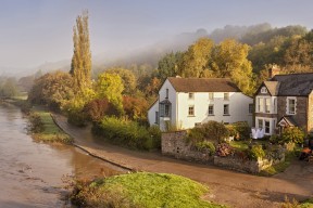 APP下载 LY Sports-自由泳短距离摩纳哥选手冲进前列，自由泳2021