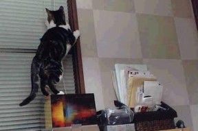 乐鱼电竞· (中国)官方网站-青训项目社会捐赠制度未被体系化引导，青训项目社会捐赠制度未被体系化引导怎么办