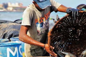 Leyu Sport下载-男子自由泳德雷塞尔再破纪录，男子自由泳达级