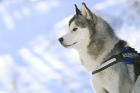 LEYU SPORTS中国官方网站-球员心理健康受重视，俱乐部配备专职心理师，足球运动员心理素质的重要性