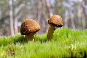 Leyu Sport下载-9月16-17日足球赛事前瞻：实力派球队对决聚焦，9月16日足球比赛