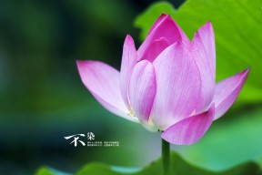 Leyu Sport登录入口-奇才核心回归全队状态明显提升，奇才队成员名单