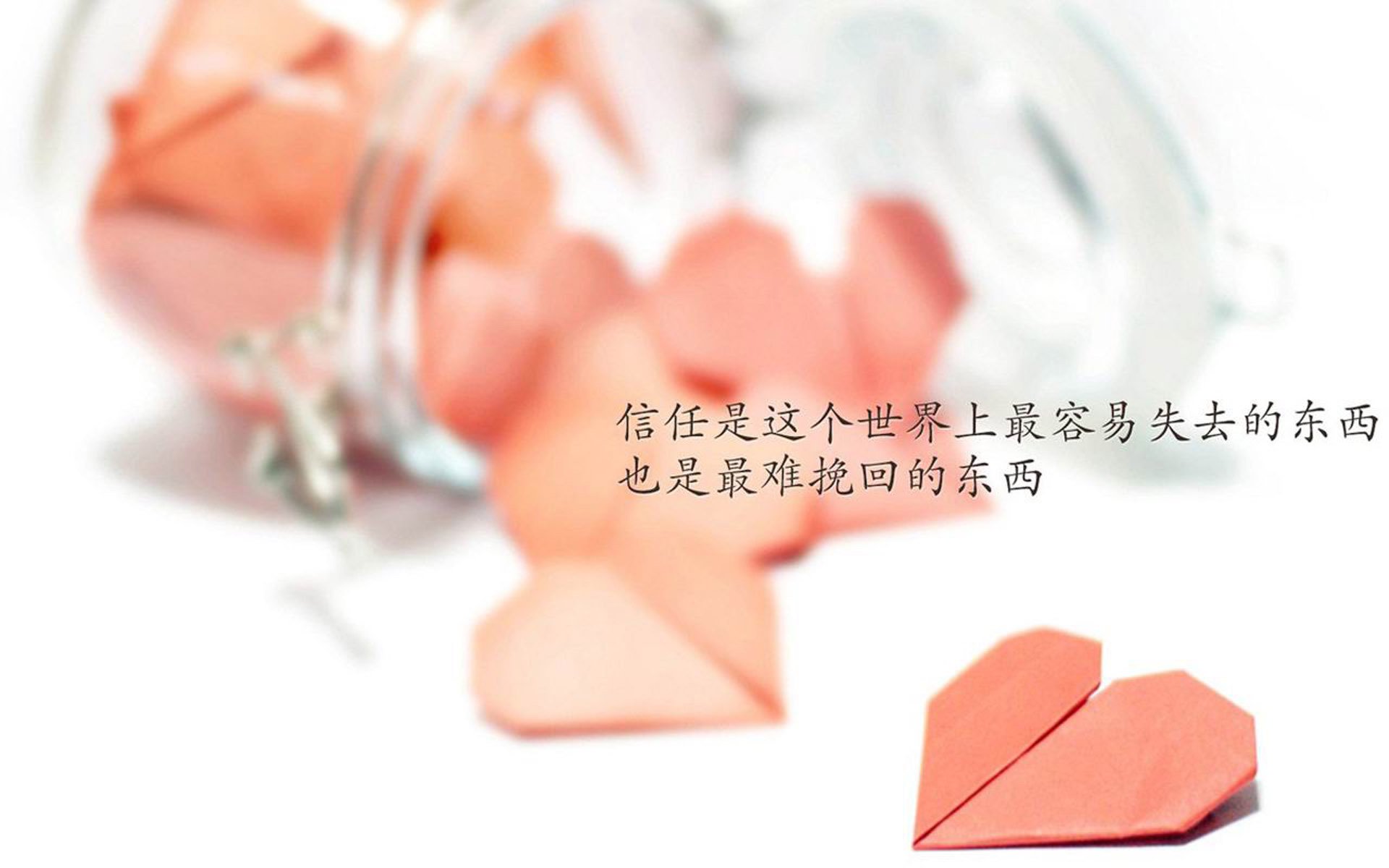 Chinese Taipei团队未来：竞技水平提升与国际化战略，chinese national team