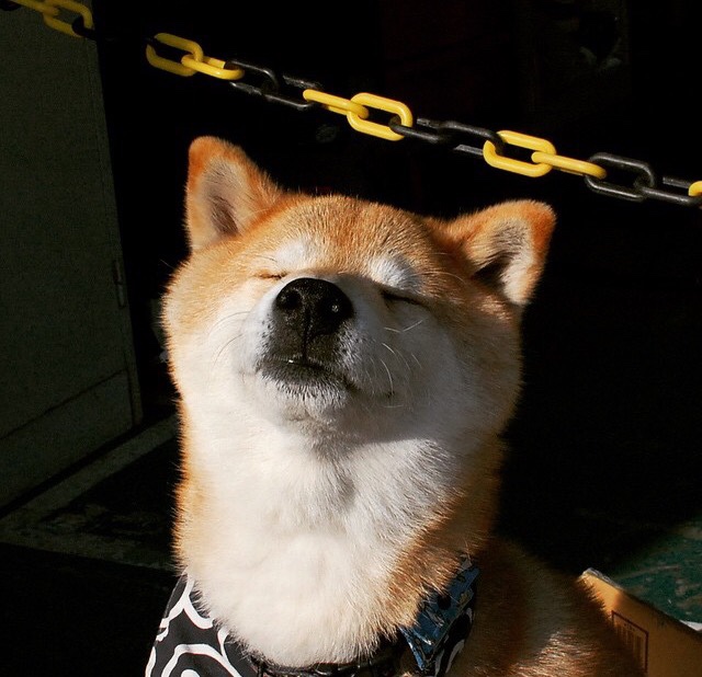 “2025世界运动会:高新体育中心武术赛场,选手空灵招式引爆全场”