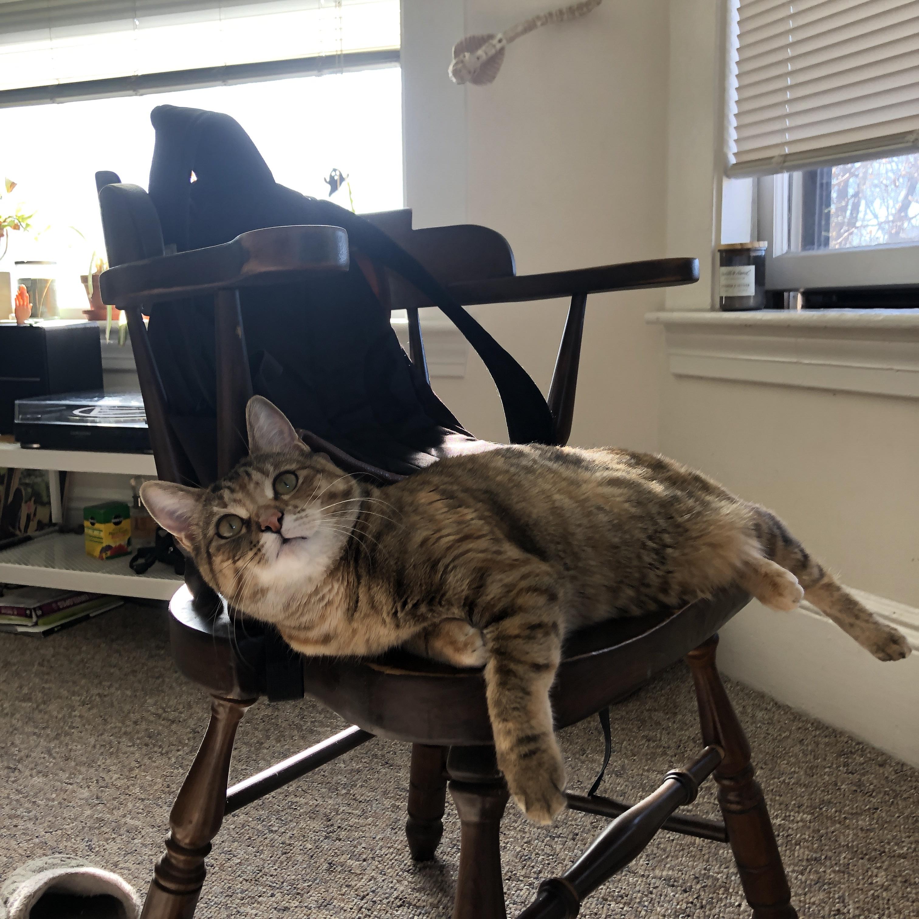 “武汉马拉松赛场,极速飞驰的新星即将诞生”