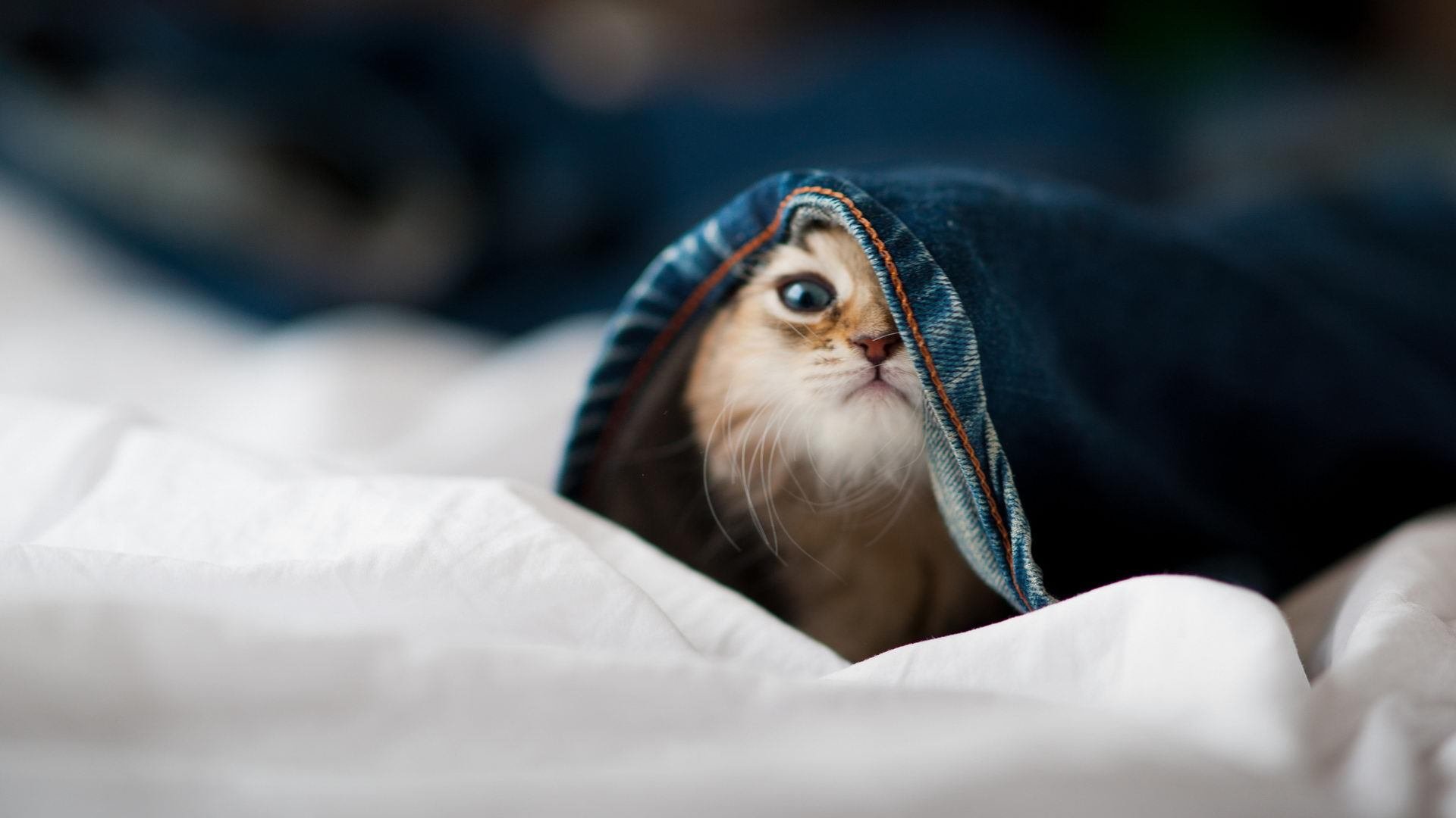 五大联赛球队场均控球时间是否决定输赢走向，五大联赛哪个大球多