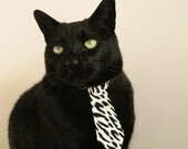 体育医疗志愿队参加国家应急演练，体育展示颁奖应急预案