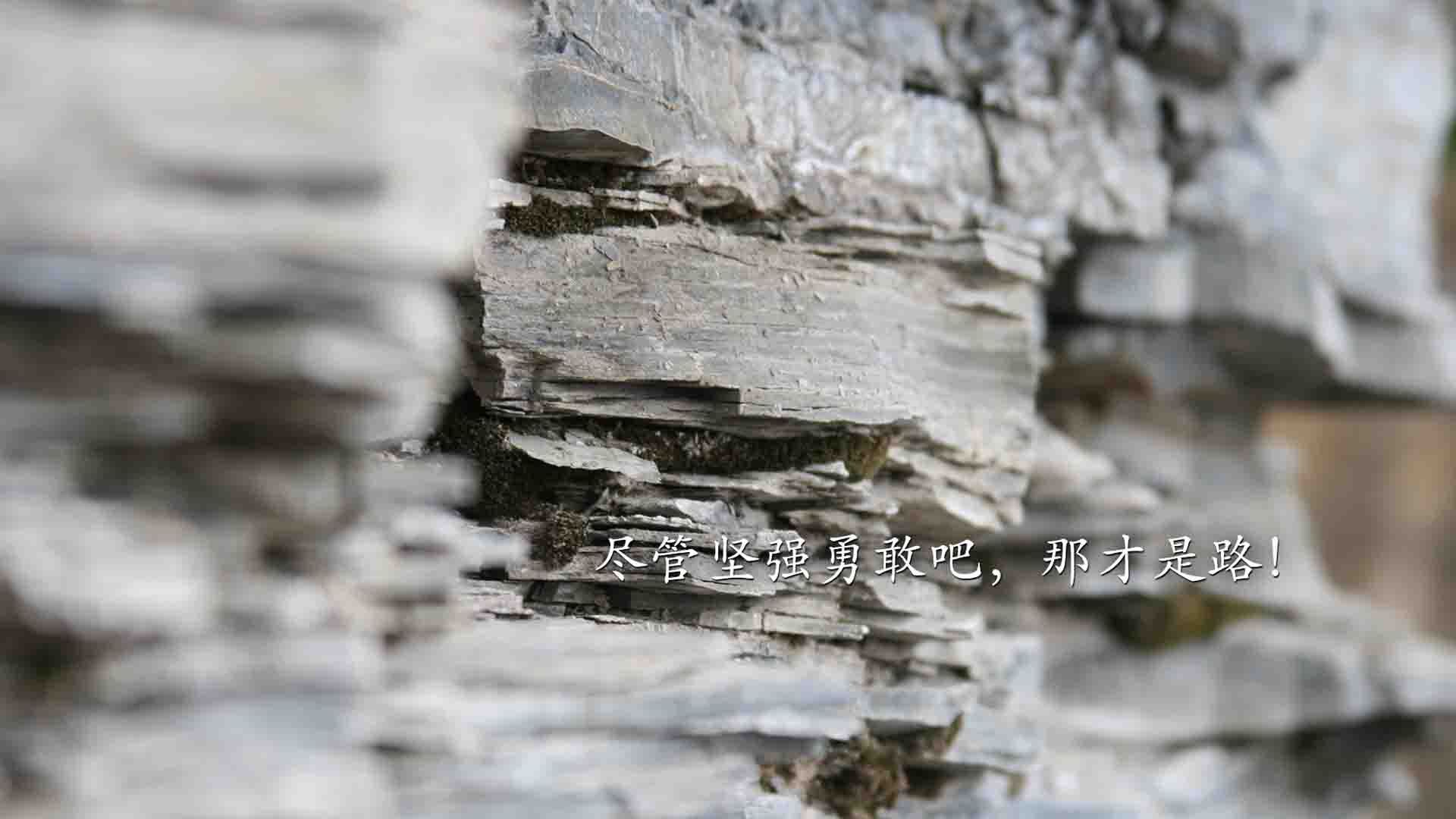 国际乒联混合团体世界杯赛制变化:德国队的应对之道,国际乒联混双世界排名