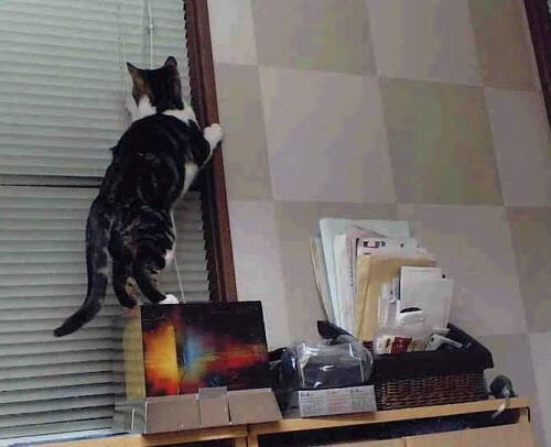 青训项目社会捐赠制度未被体系化引导,青训项目社会捐赠制度未被体系化引导怎么办