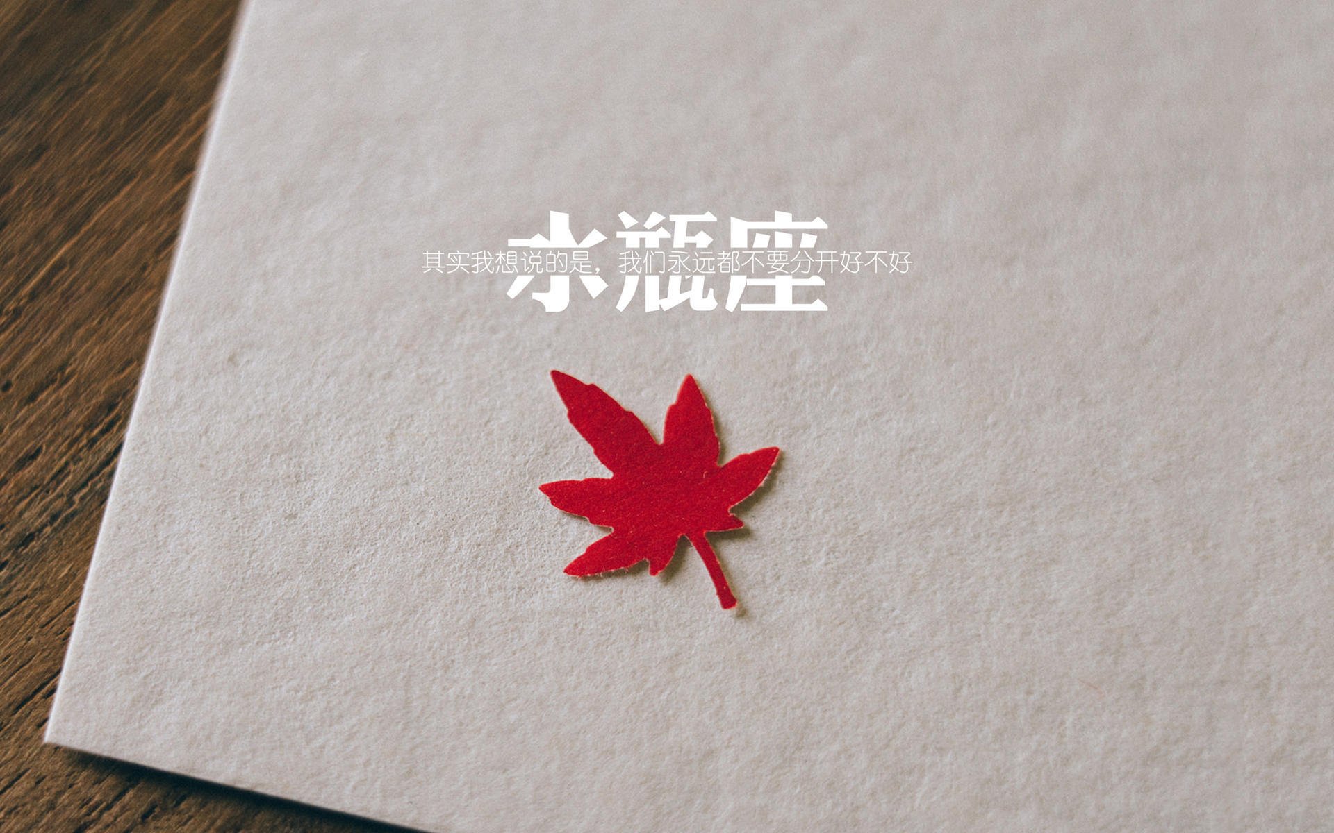 76人组织球员参与家庭日活动提升归属感,76人成员名单