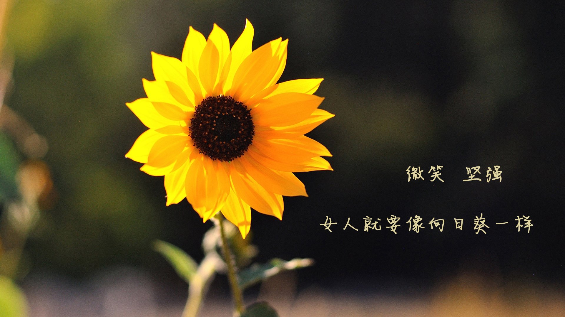 C罗助攻破门帮助球队晋级下一轮,c罗助攻数