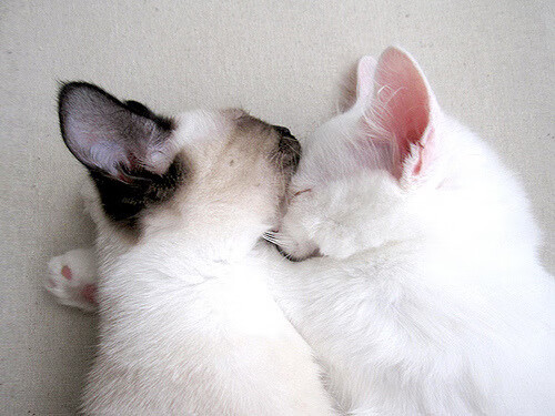 体育新闻中心通报全国青少年综合体能测试新成果,青少年体能大赛