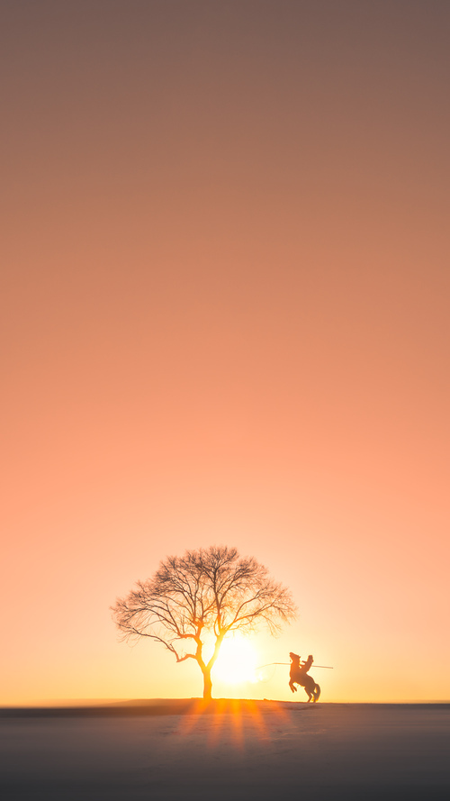 小国惊艳小组赛,战术执行力获国际赞誉,小国家队