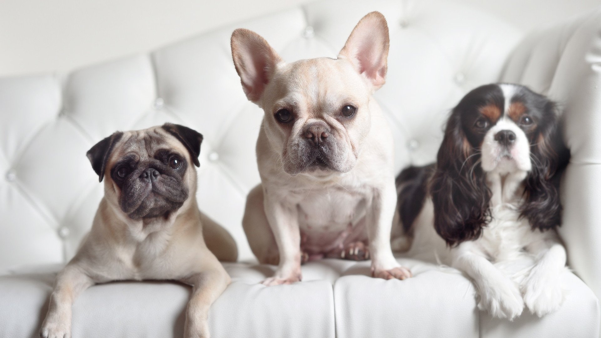 小国惊艳小组赛,战术执行力获国际赞誉,小国家队