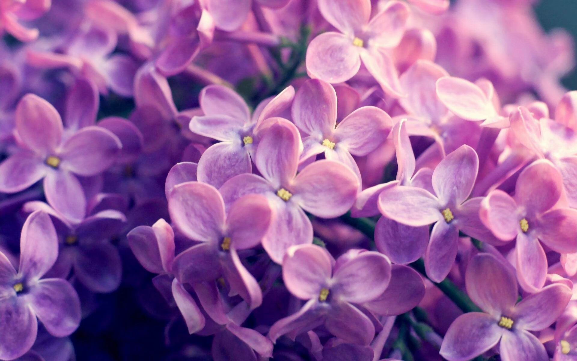 布克强势复出太阳东部前四稳固,太阳布克合同