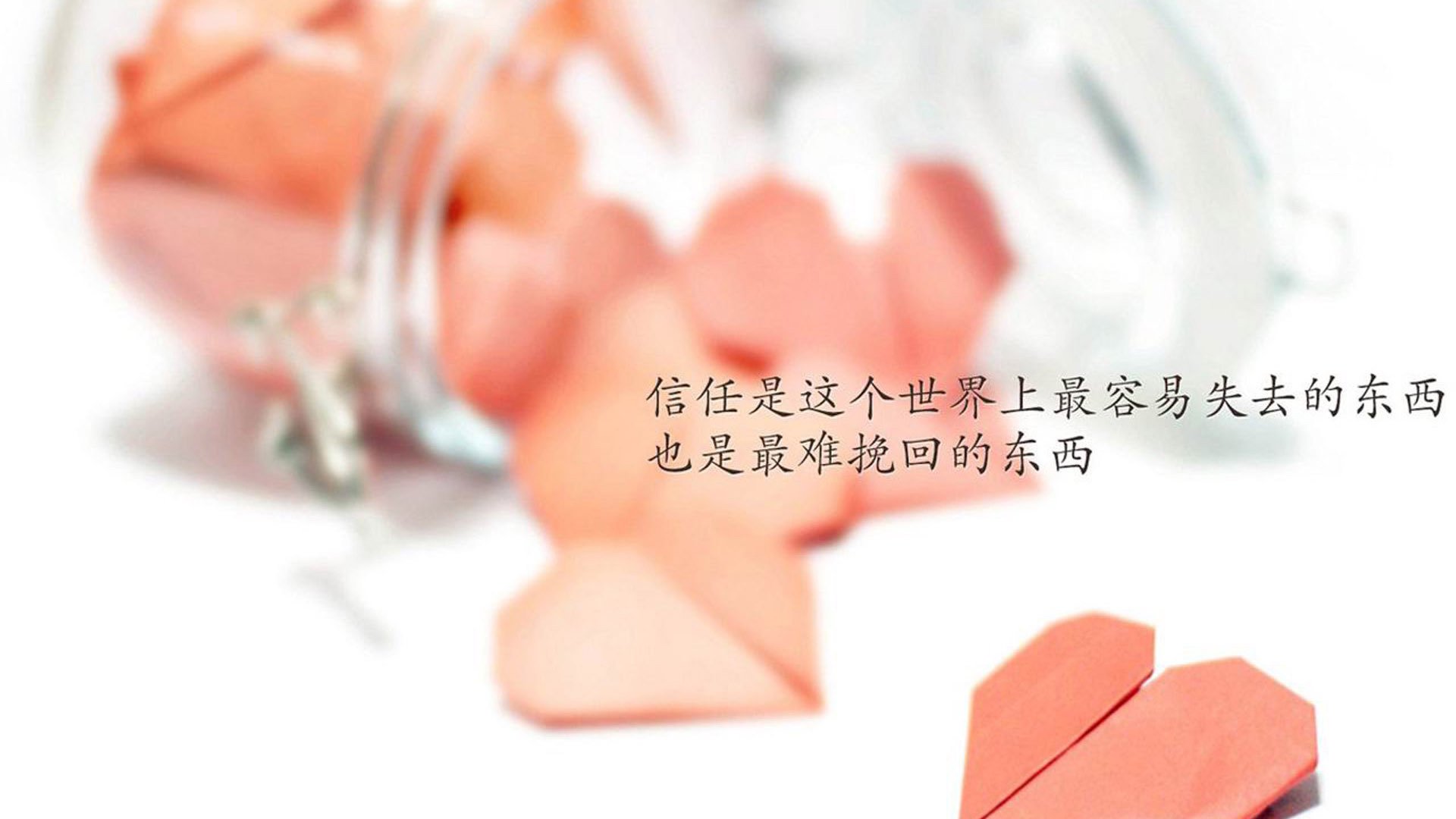 澳大利亚袋鼠队的反击战术在全球赛场广受推崇,你知不知道澳大利亚的袋鼠打人 你知在乎你自己