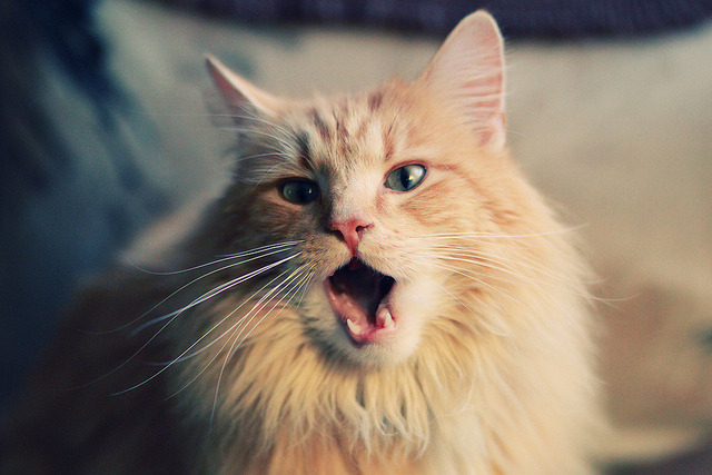 短暂休整结束球队重返训练场开启备战新阶段,重返球场的句子